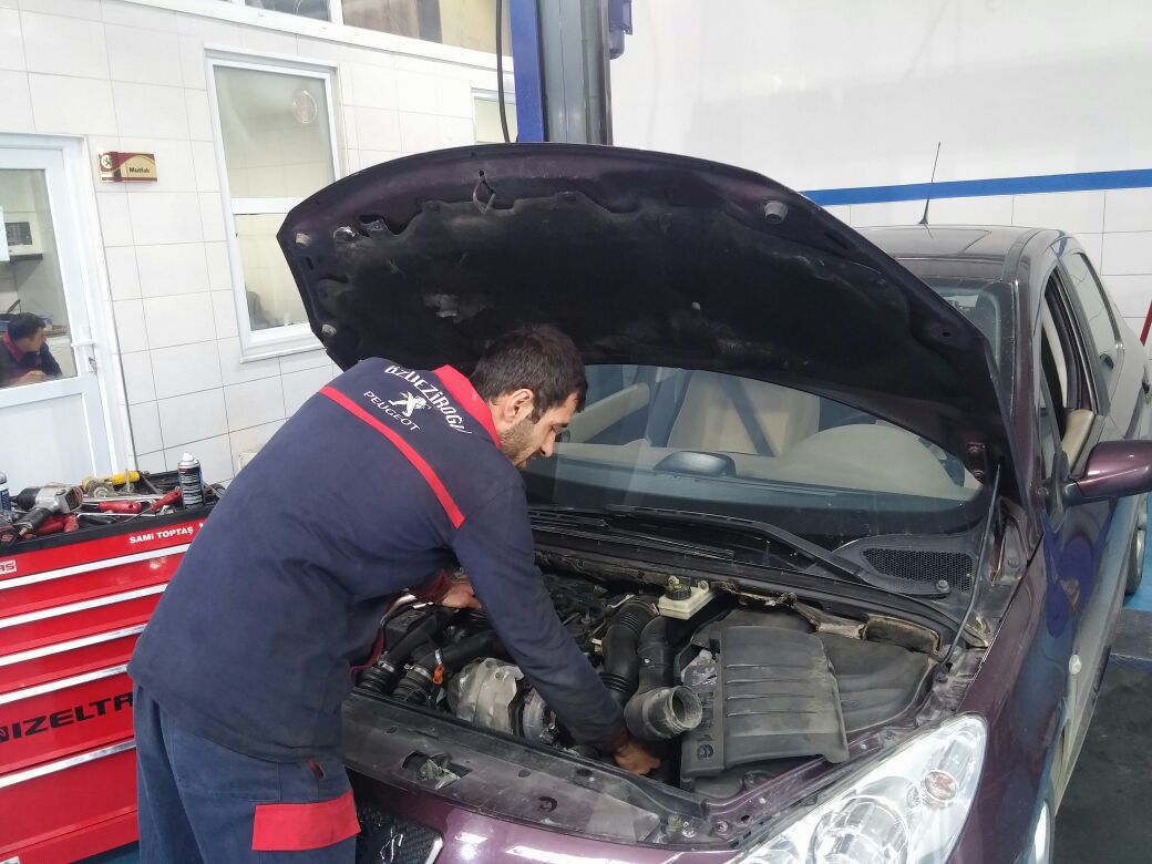 Özveziroğlu servis alanında Peugeot ve Citroën araçları
